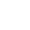 globe icon